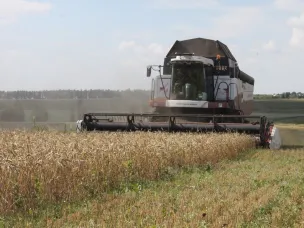 Идет уборка зерновых