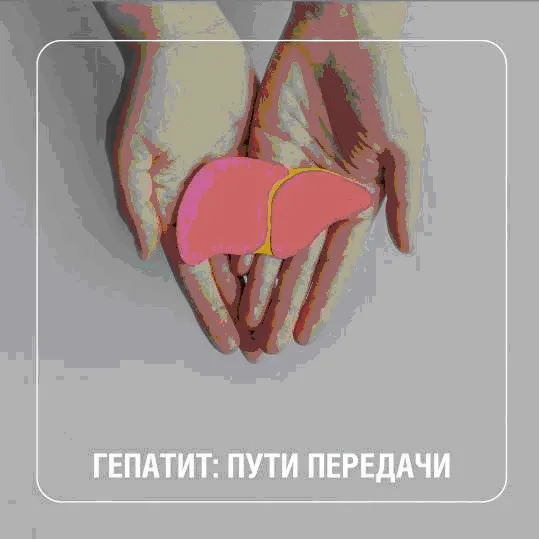 Вирусные гепатиты – группа инфекционных заболеваний, поражающих печень.