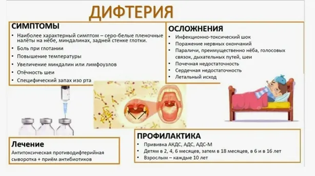 Дифтерия: причины, симптомы, профилактика