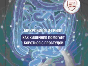 Как кишечник помогает бороться с простудой