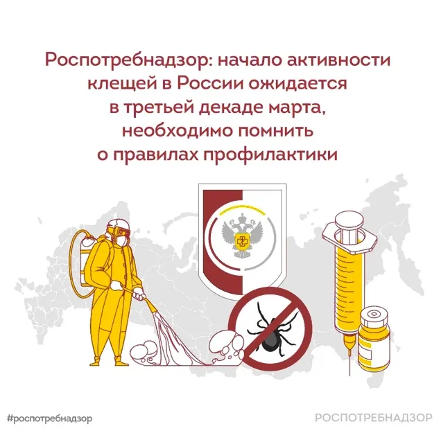Начало активности клещей в России ожидается в третьей декаде марта