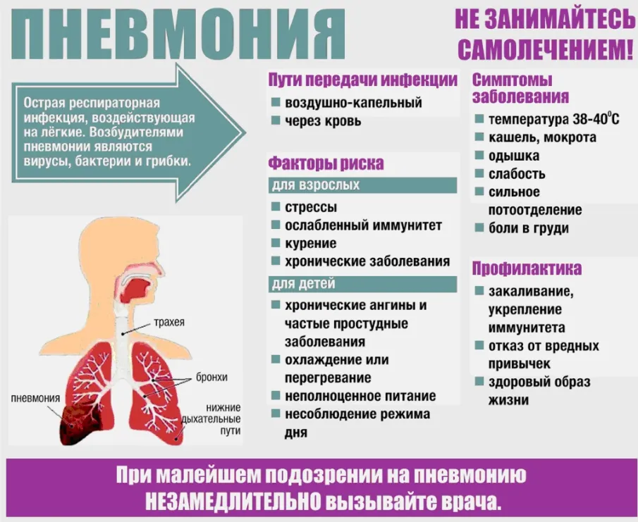 Как распознать и предупредить пневмонию?