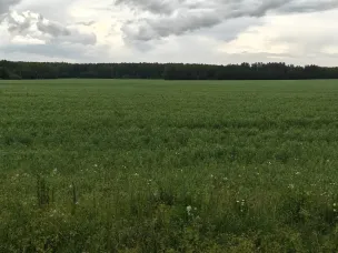 Посевная кампания в Нижегородской области завершена