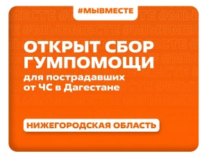 Нижегородцы могут присоединиться к гуманитарной акции в помощь пострадавшему от наводнения Дагестану