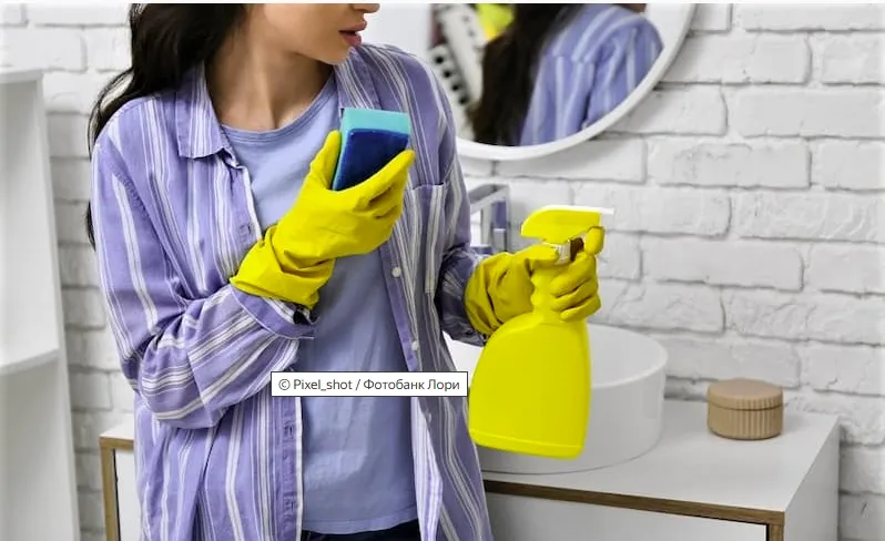 Плесневые грибы встречаются повсеместно в жилых помещениях