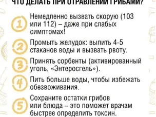 Отравление грибами – одно из самых опасных. Оно может привести к тяжелым последствиям вплоть до летального исхода. 