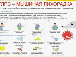 ГЛПС – острое вирусное инфекционное заболевание