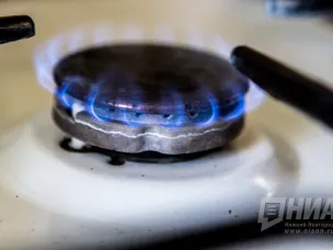 Садовые товарищества включили в программу социальной догазификации  