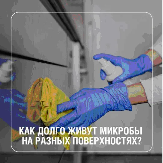 Знаете ли вы, что микробы могут выживать на предметах от нескольких часов до нескольких месяцев?